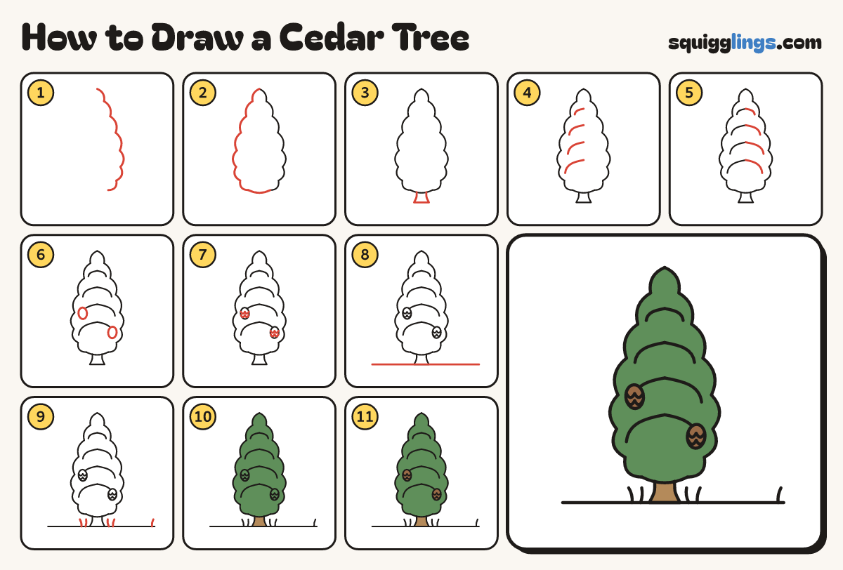 How to Draw a Cedar Tree step by step: all 11 steps in one picture