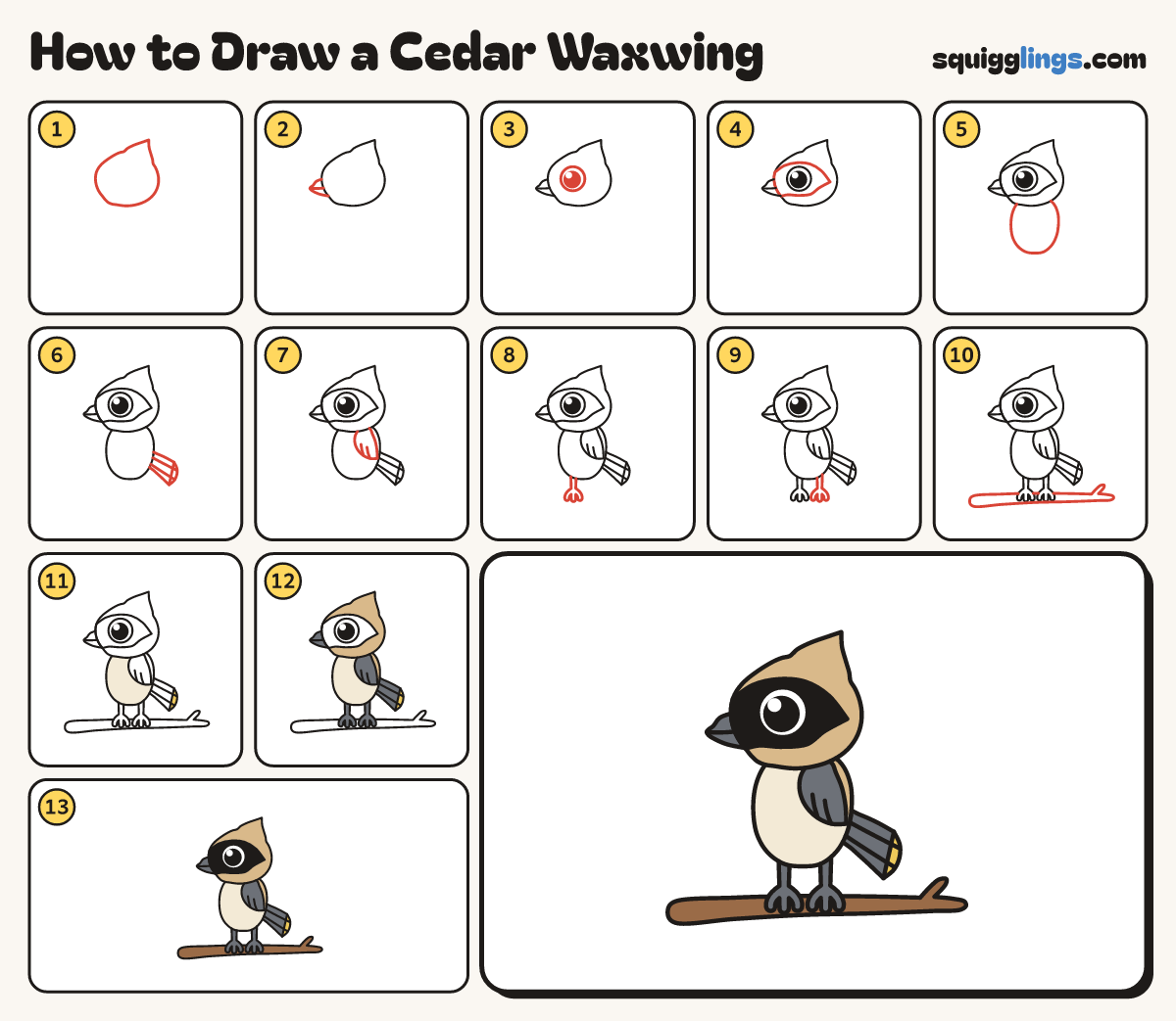 How to Draw a Cedar Waxwing step by step: all 13 steps in one picture