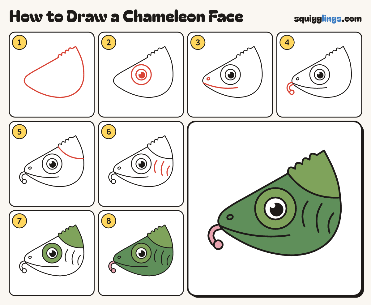 How to Draw a Chameleon Face step by step: all 8 steps in one picture