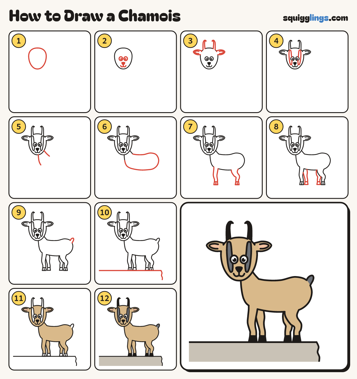 How to Draw a Chamois step by step: all 12 steps in one picture