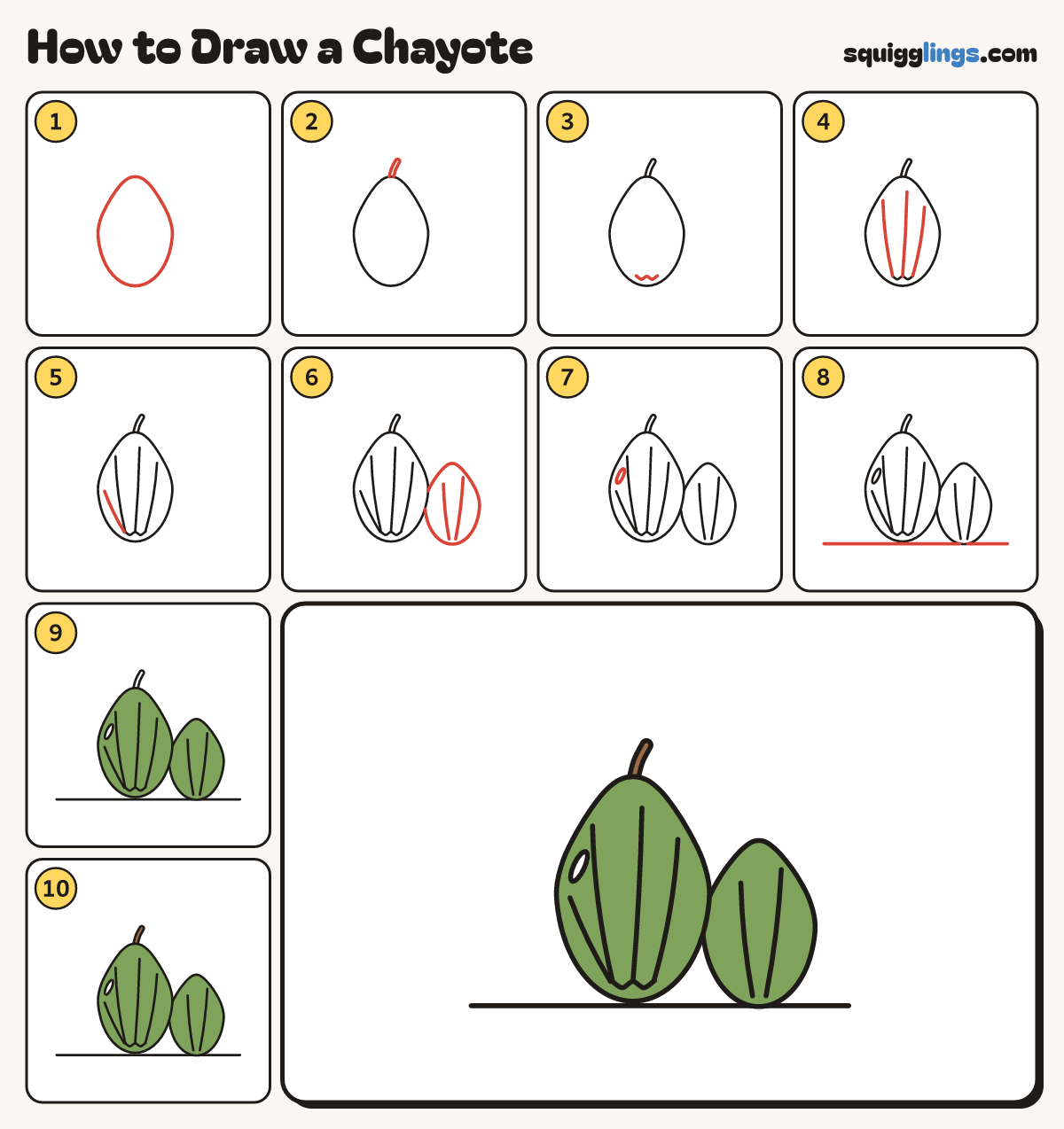 How to Draw a Chayote step by step: all 10 steps in one picture