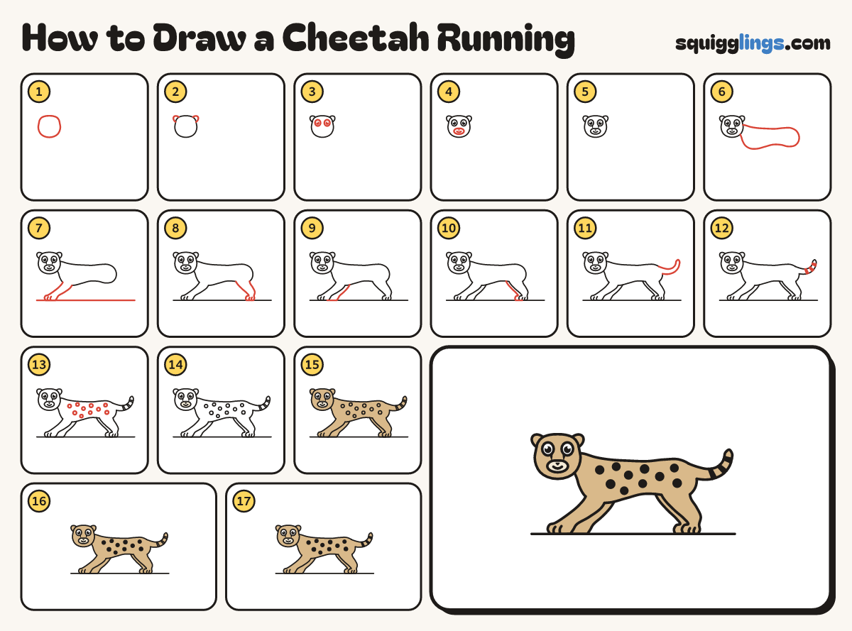 How to Draw a Cheetah Running step by step: all 17 steps in one picture