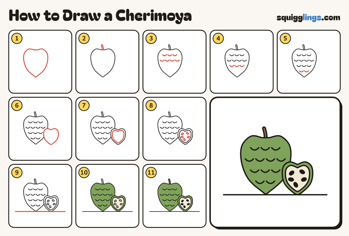 How to Draw a Cherimoya step by step: all 11 steps in one picture