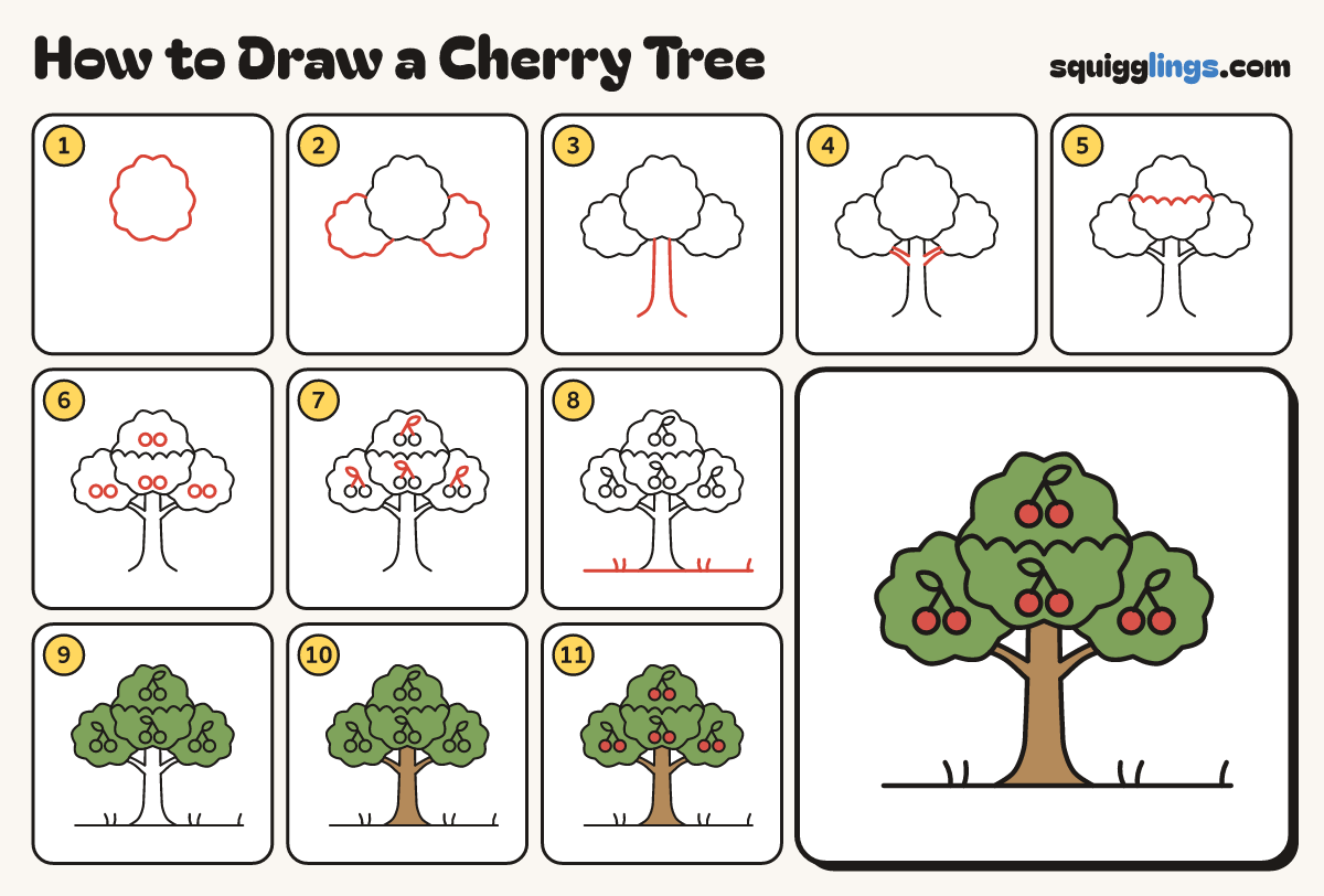 How to Draw a Cherry Tree step by step: all 11 steps in one picture