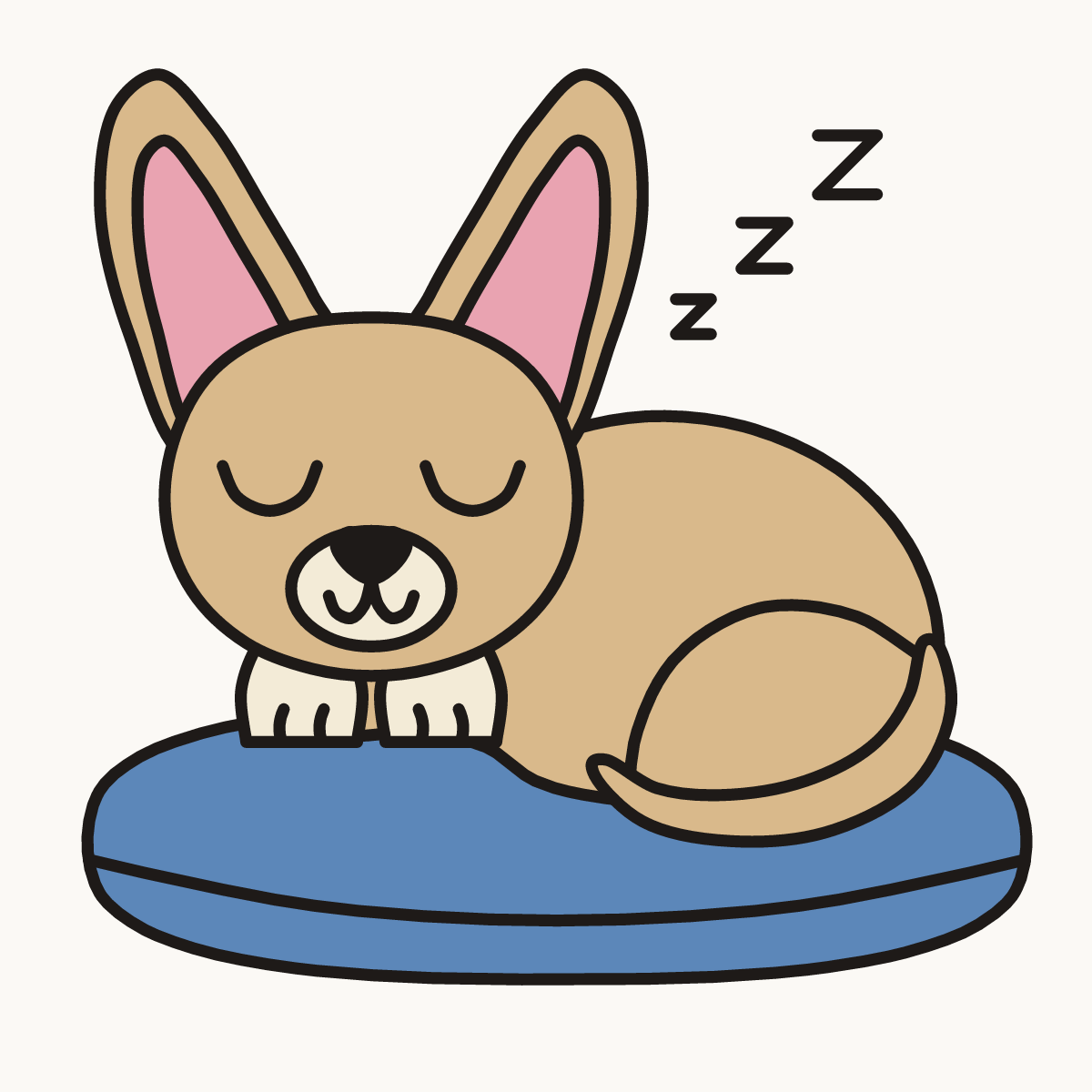 Finished drawing of a Chihuahua sleeping