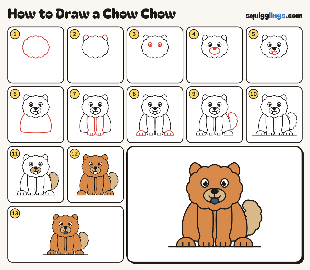 How to Draw a Chow Chow step by step: all 13 steps in one picture
