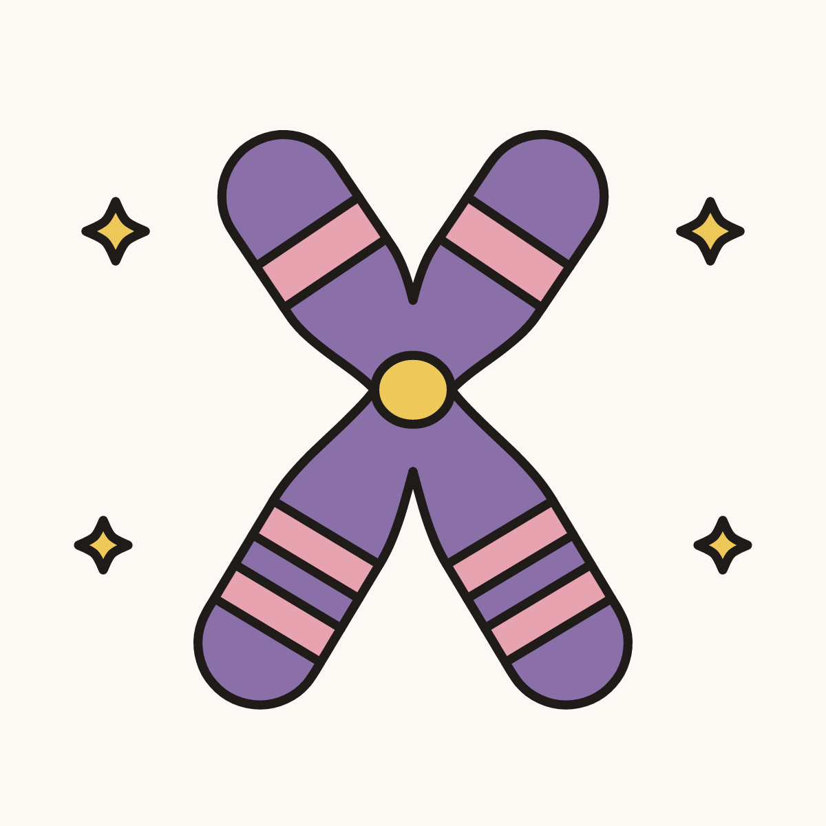Finished drawing of a chromosome