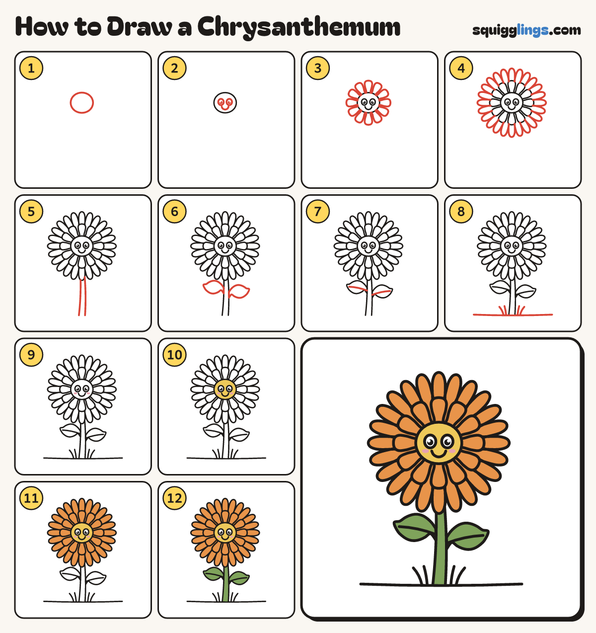 How to Draw a Chrysanthemum step by step: all 12 steps in one picture