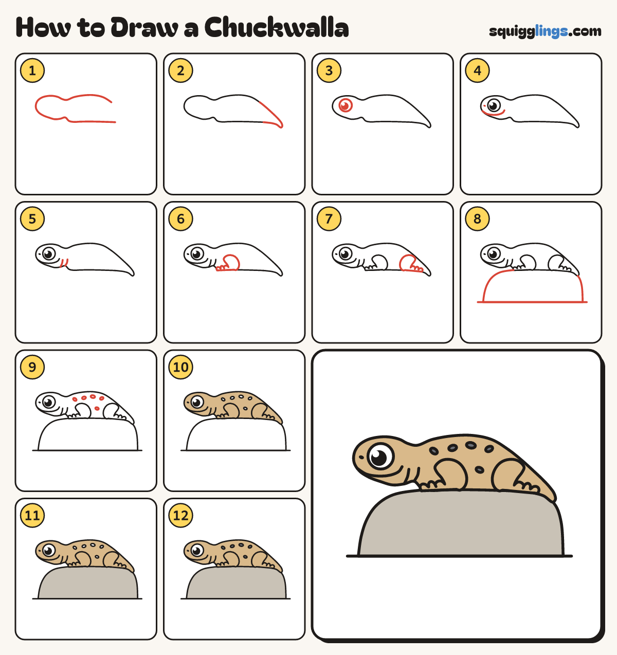 How to Draw a Chuckwalla step by step: all 12 steps in one picture
