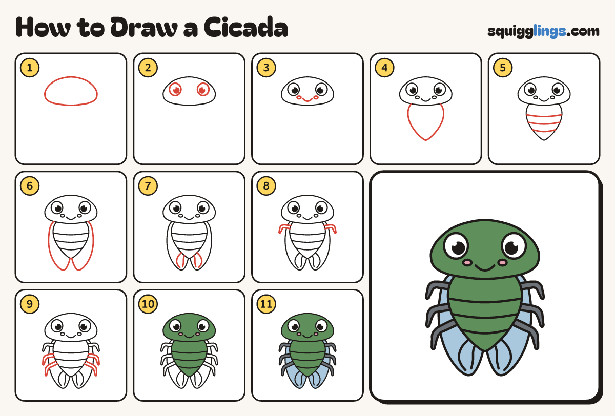 How to Draw a Cicada step by step: all 11 steps in one picture