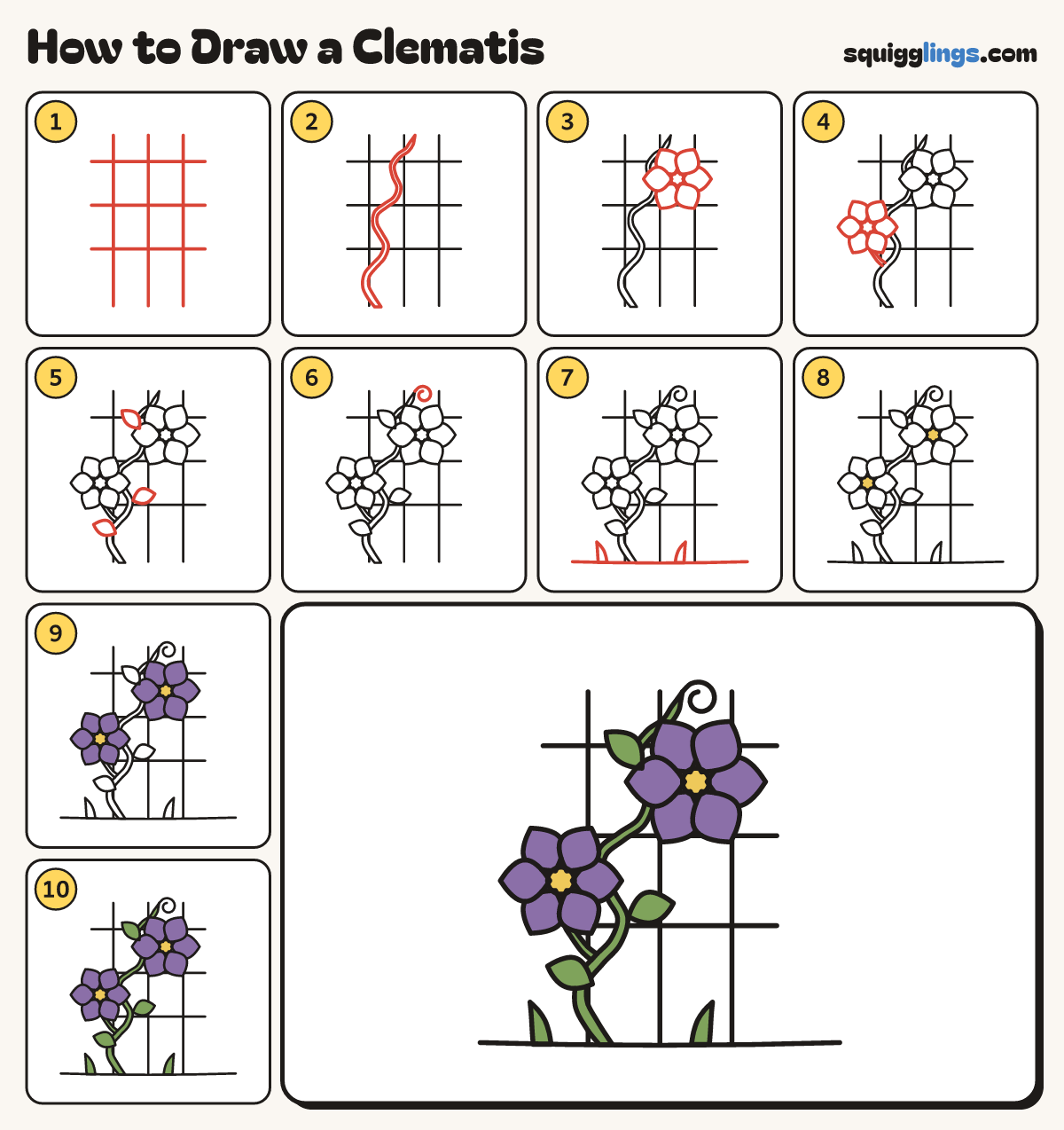 How to Draw a Clematis step by step: all 10 steps in one picture