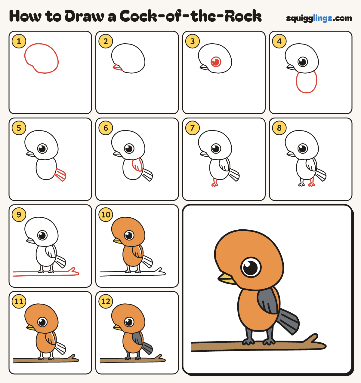 How to Draw a Cock-of-the-Rock step by step: all 12 steps in one picture