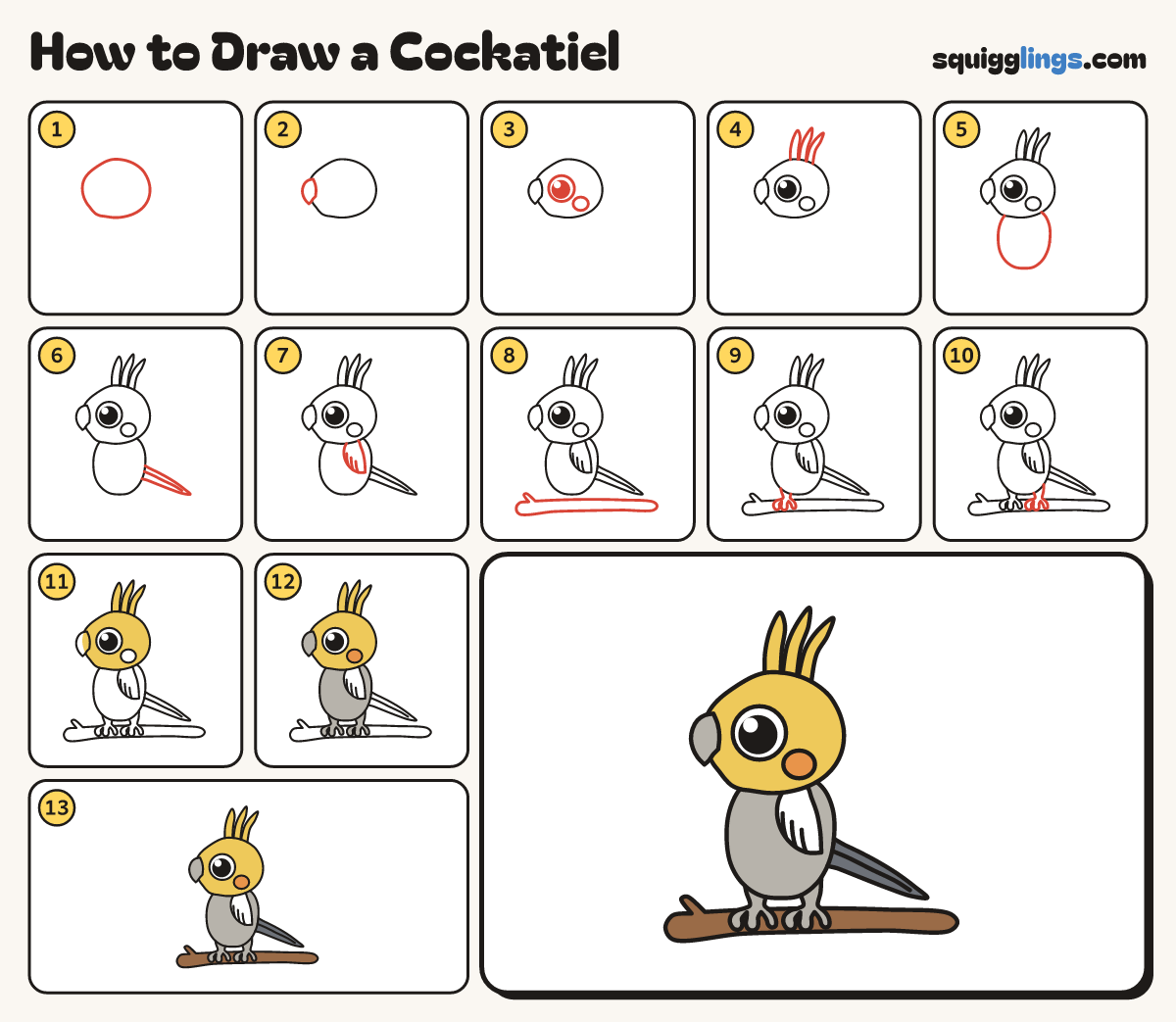How to Draw a Cockatiel step by step: all 13 steps in one picture