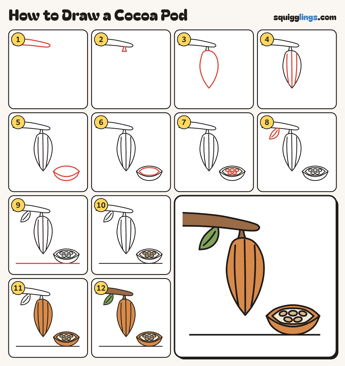 How to Draw a Cocoa Pod step by step: all 12 steps in one picture