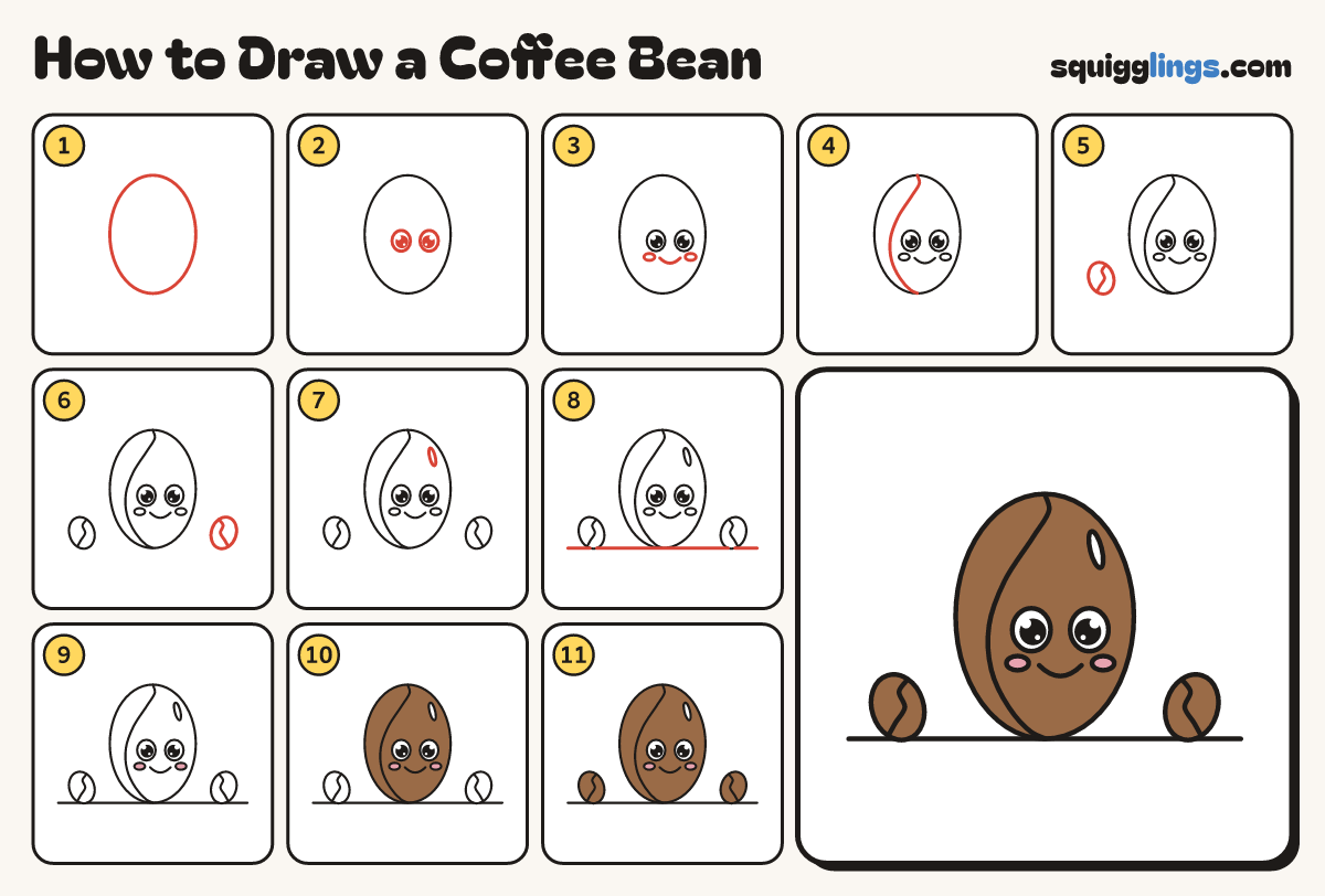 How to Draw a Coffee Bean step by step: all 11 steps in one picture