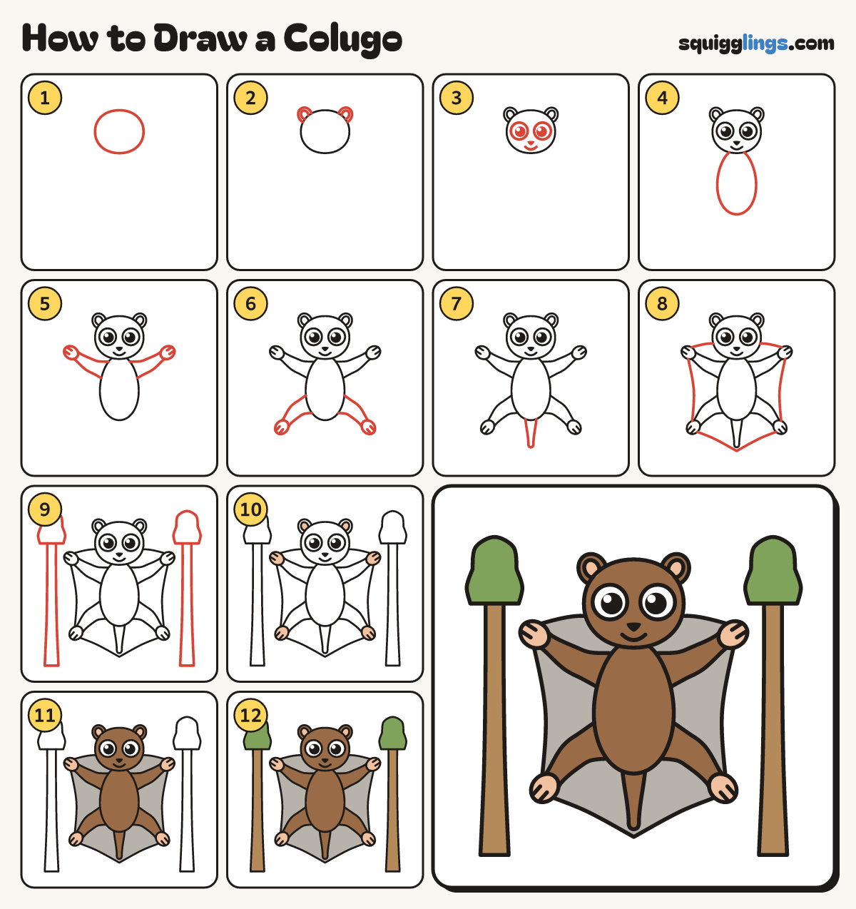How to Draw a Colugo step by step: all 12 steps in one picture