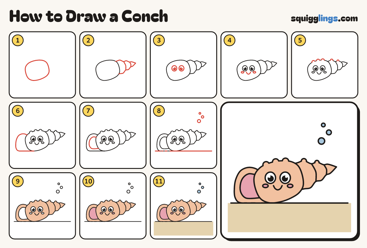 How to Draw a Conch step by step: all 11 steps in one picture