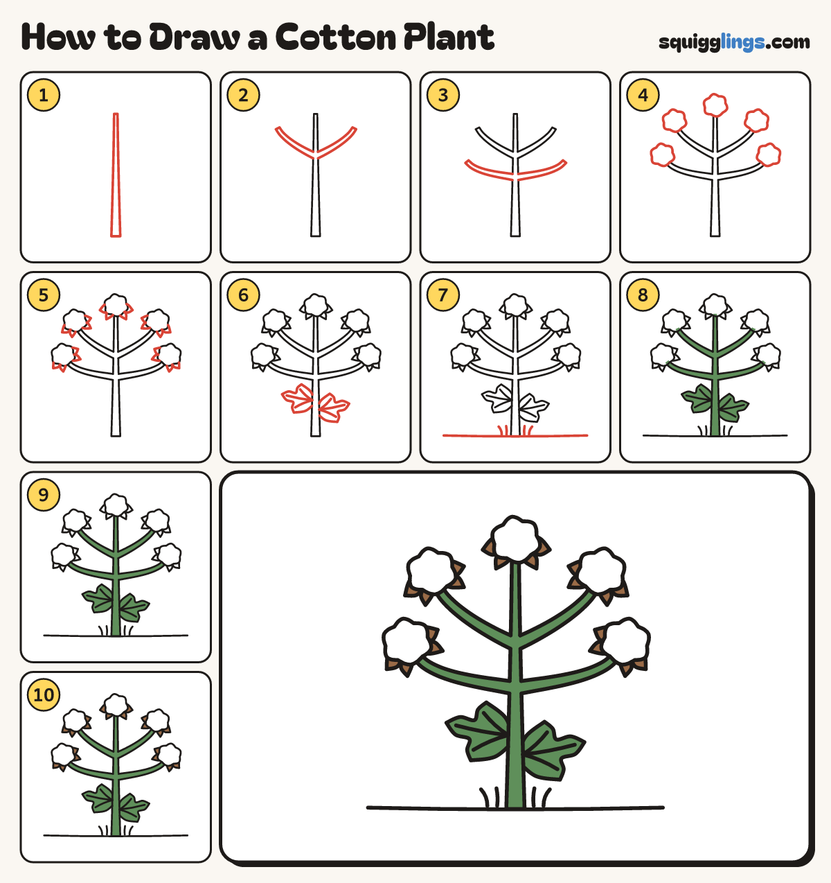 How to Draw a Cotton Plant step by step: all 10 steps in one picture