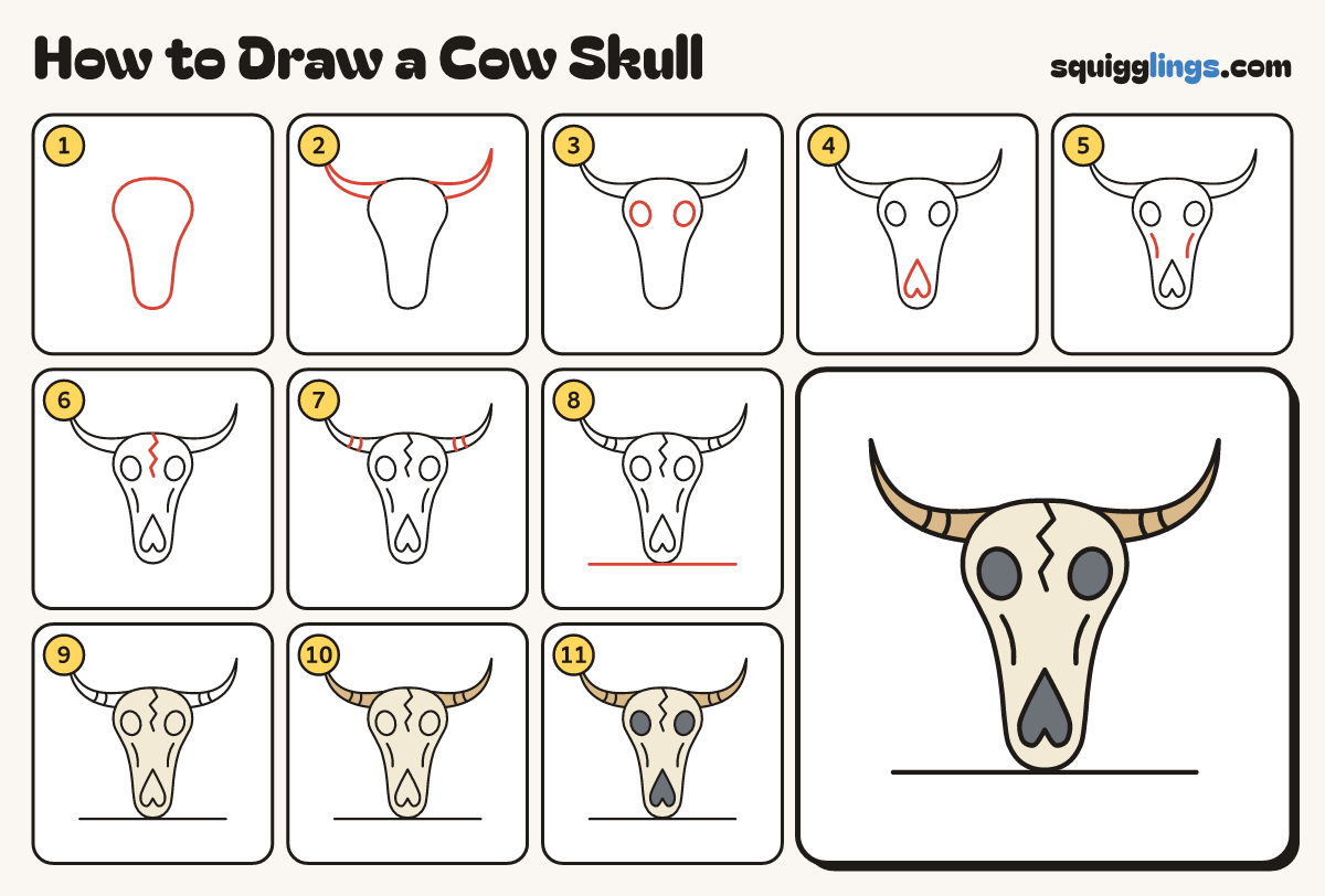 How to Draw a Cow Skull step by step: all 11 steps in one picture