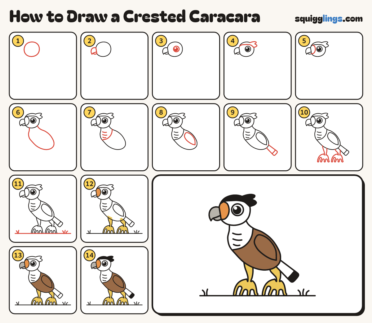How to Draw a Crested Caracara step by step: all 14 steps in one picture