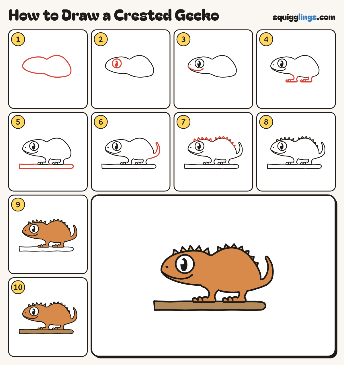 How to Draw a Crested Gecko step by step: all 10 steps in one picture