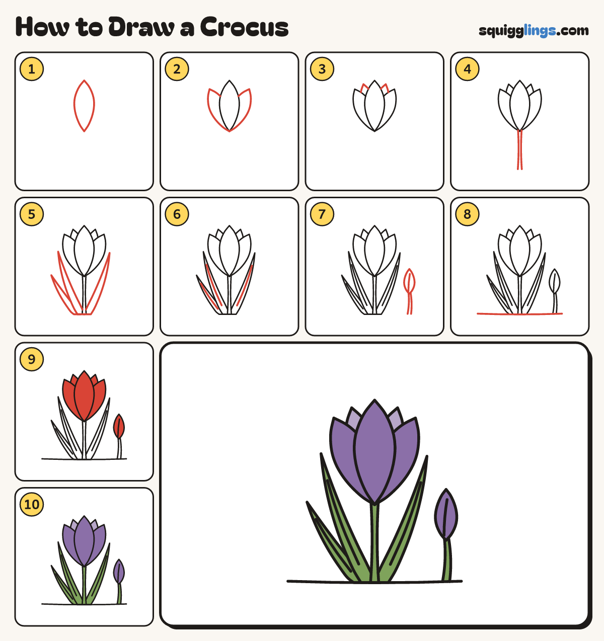 How to Draw a Crocus step by step: all 10 steps in one picture