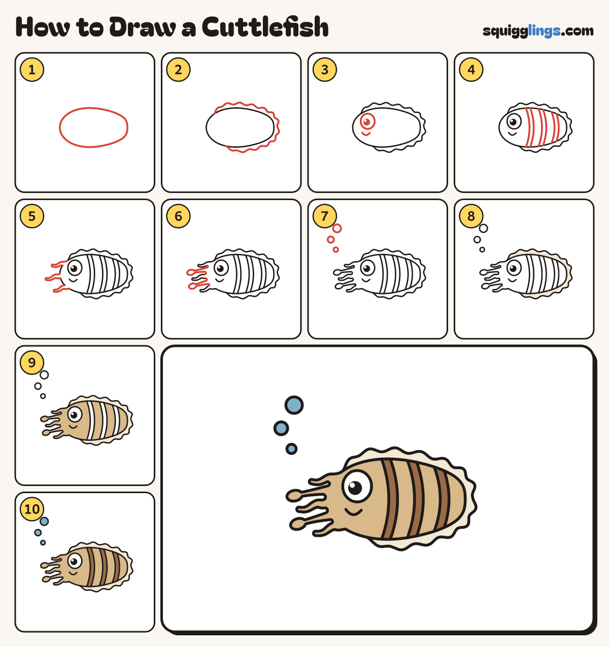 How to Draw a Cuttlefish step by step: all 10 steps in one picture