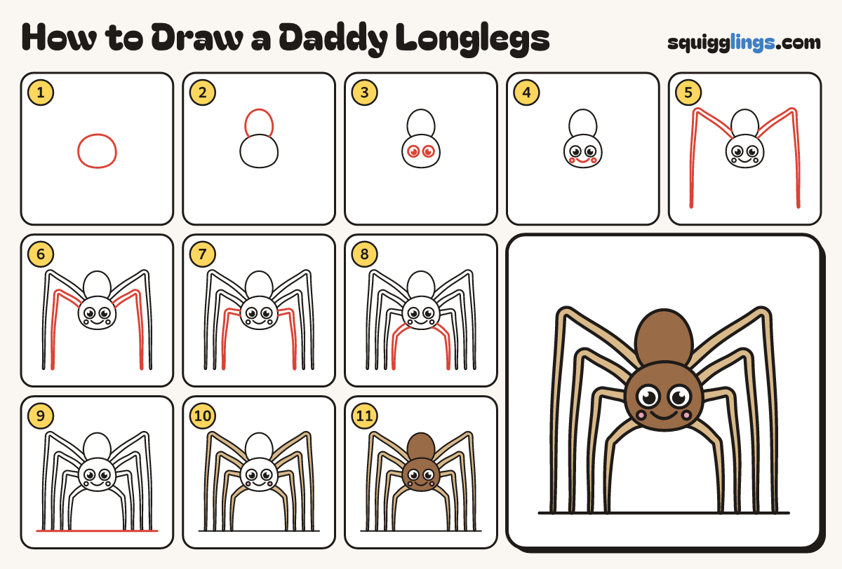 How to Draw a Daddy Longlegs step by step: all 11 steps in one picture