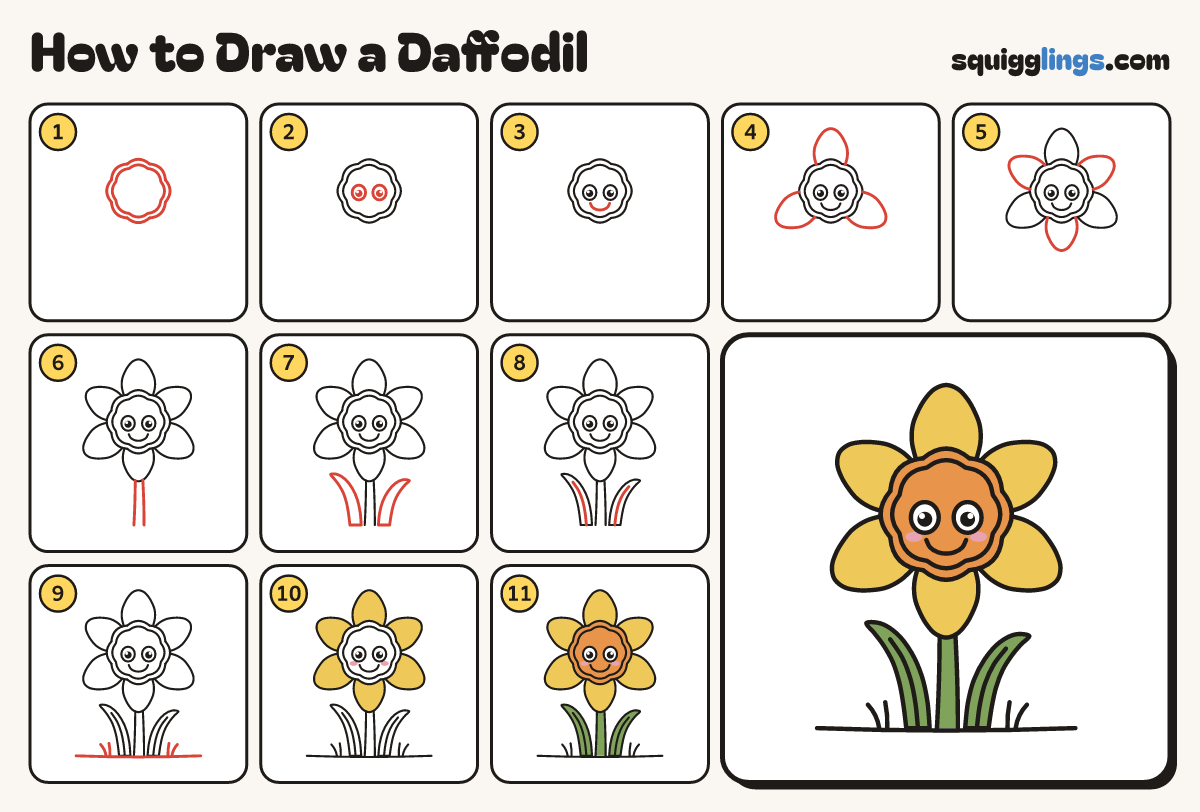 How to Draw a Daffodil step by step: all 11 steps in one picture