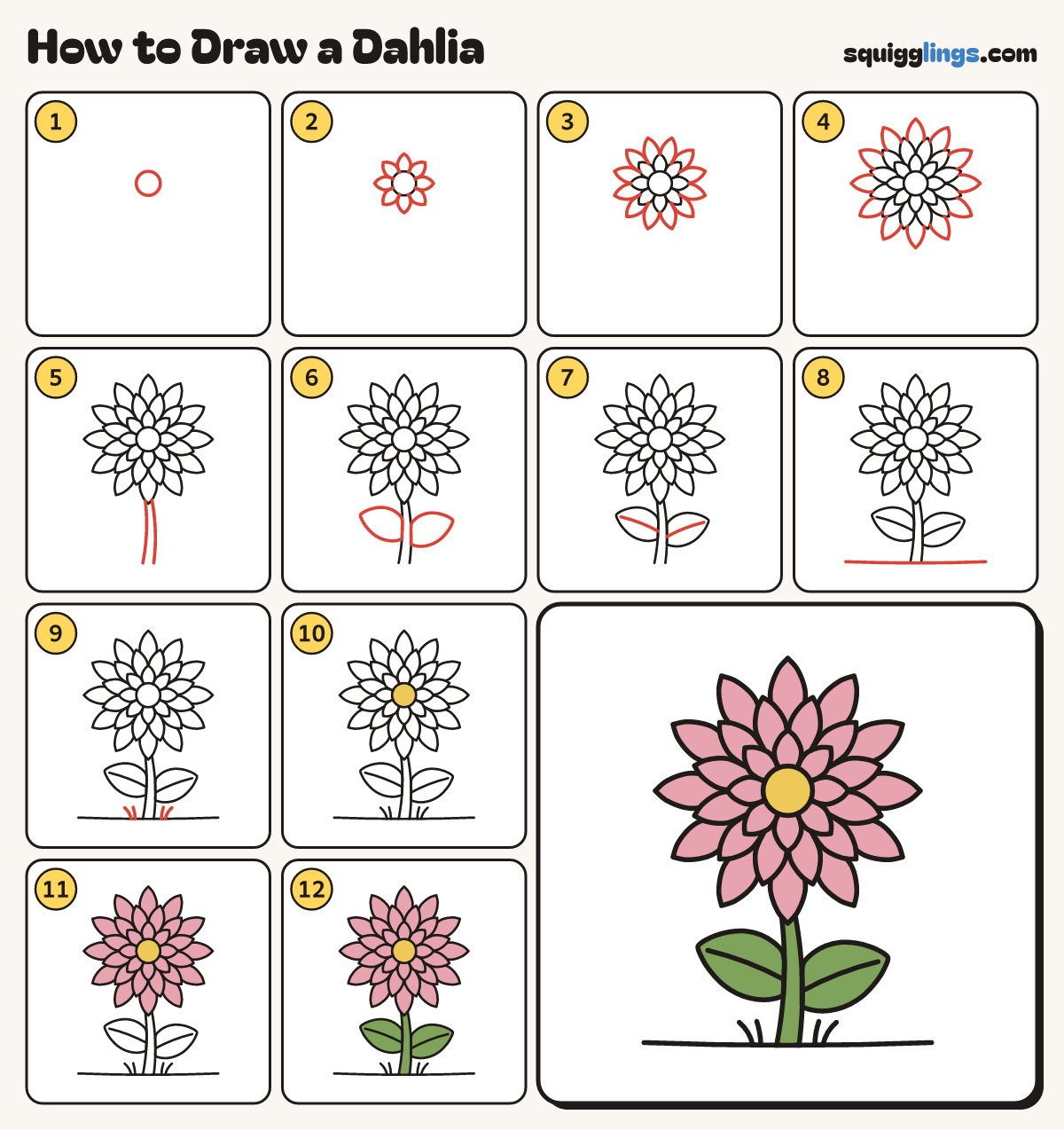 How to Draw a Dahlia step by step: all 12 steps in one picture