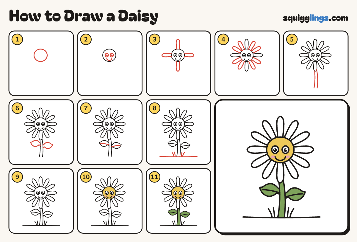 How to Draw a Daisy step by step: all 11 steps in one picture
