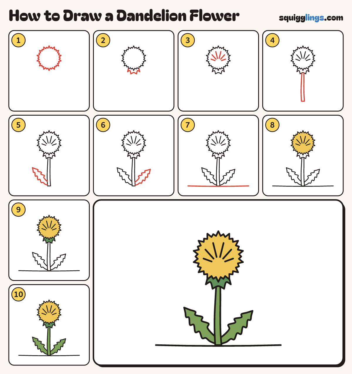 How to Draw a Dandelion Flower step by step: all 10 steps in one picture