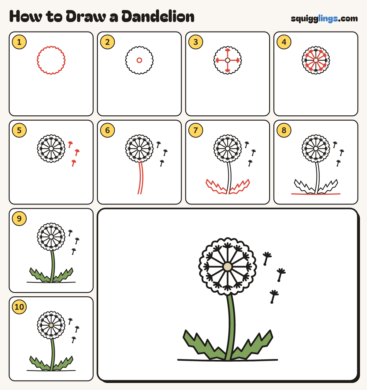 How to Draw a Dandelion step by step: all 10 steps in one picture