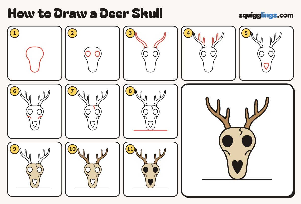 How to Draw a Deer Skull step by step: all 11 steps in one picture