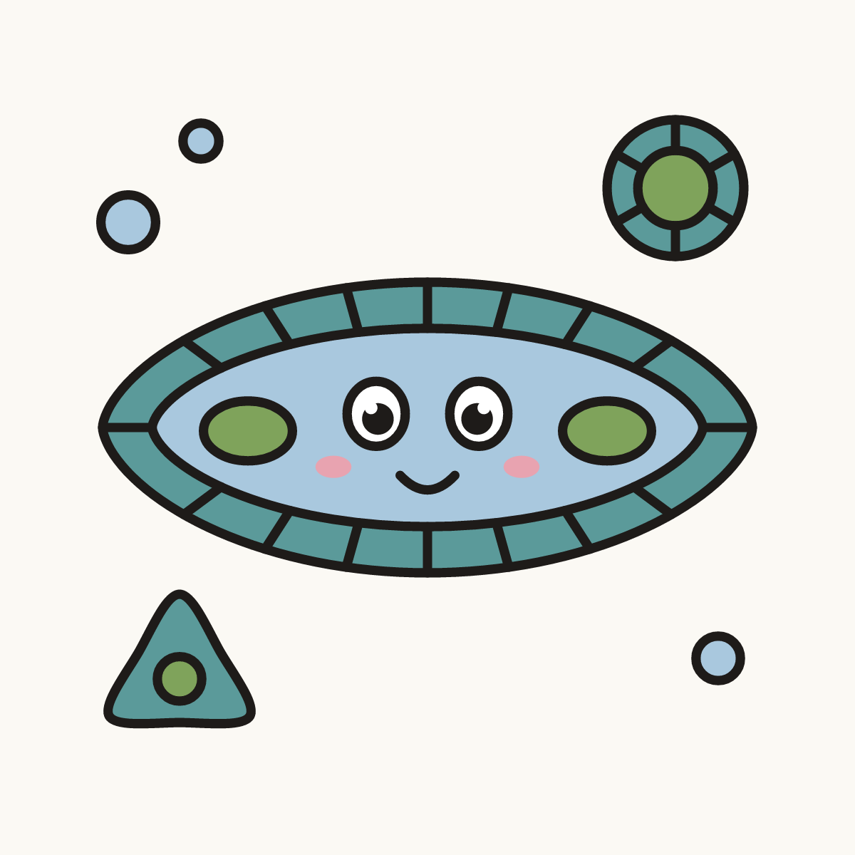 Finished drawing of a diatom