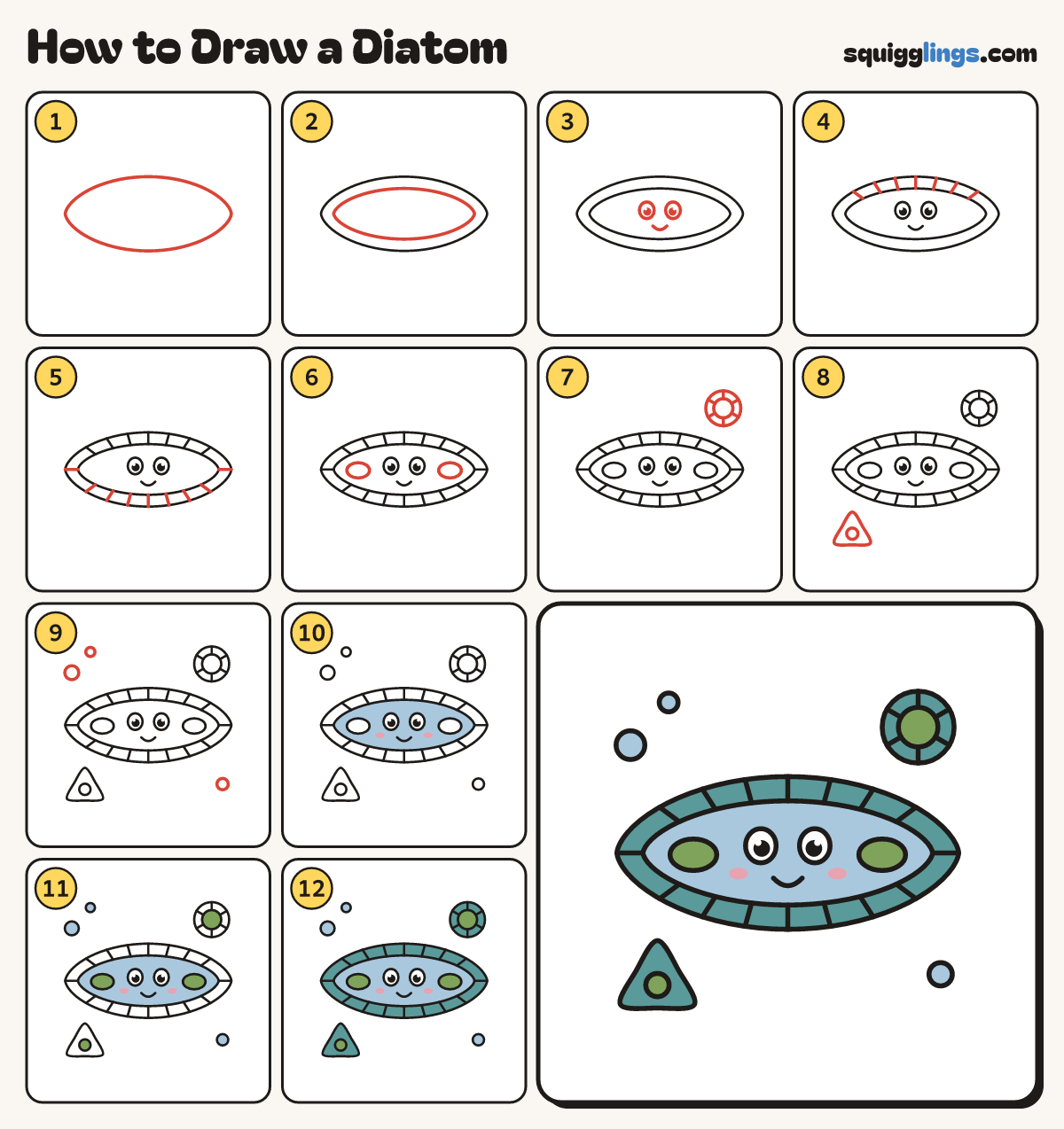 How to Draw a Diatom step by step: all 12 steps in one picture