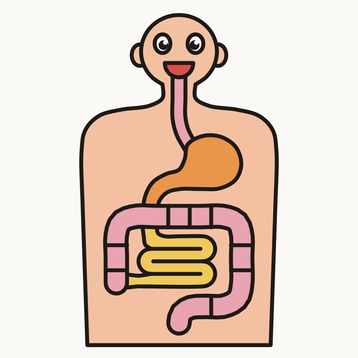 Finished drawing of a digestive system