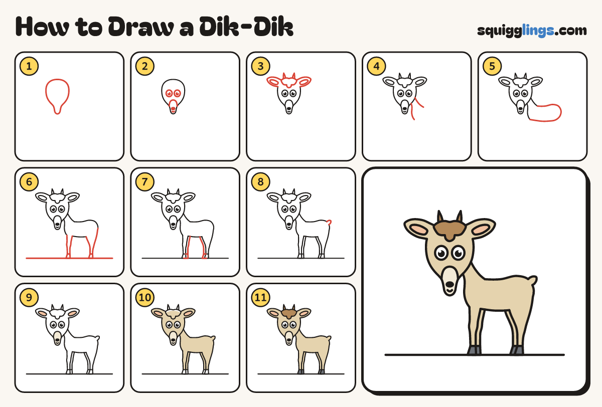 How to Draw a Dik-Dik step by step: all 11 steps in one picture