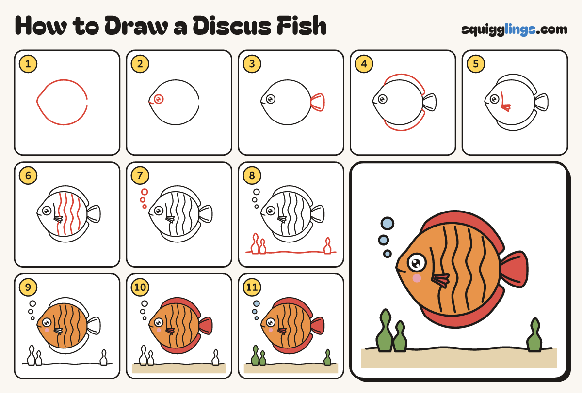 How to Draw a Discus Fish step by step: all 11 steps in one picture