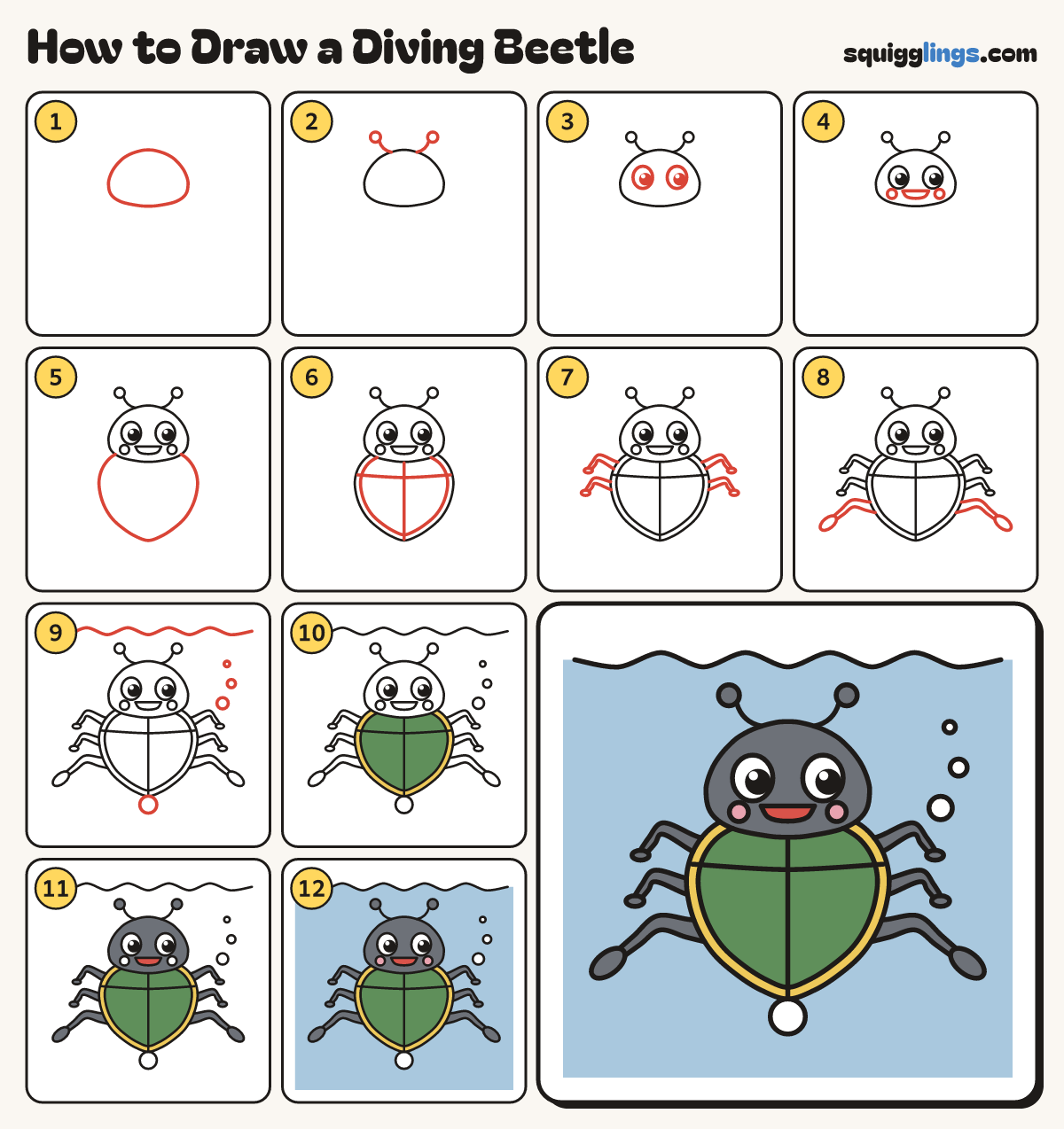 How to Draw a Diving Beetle step by step: all 12 steps in one picture