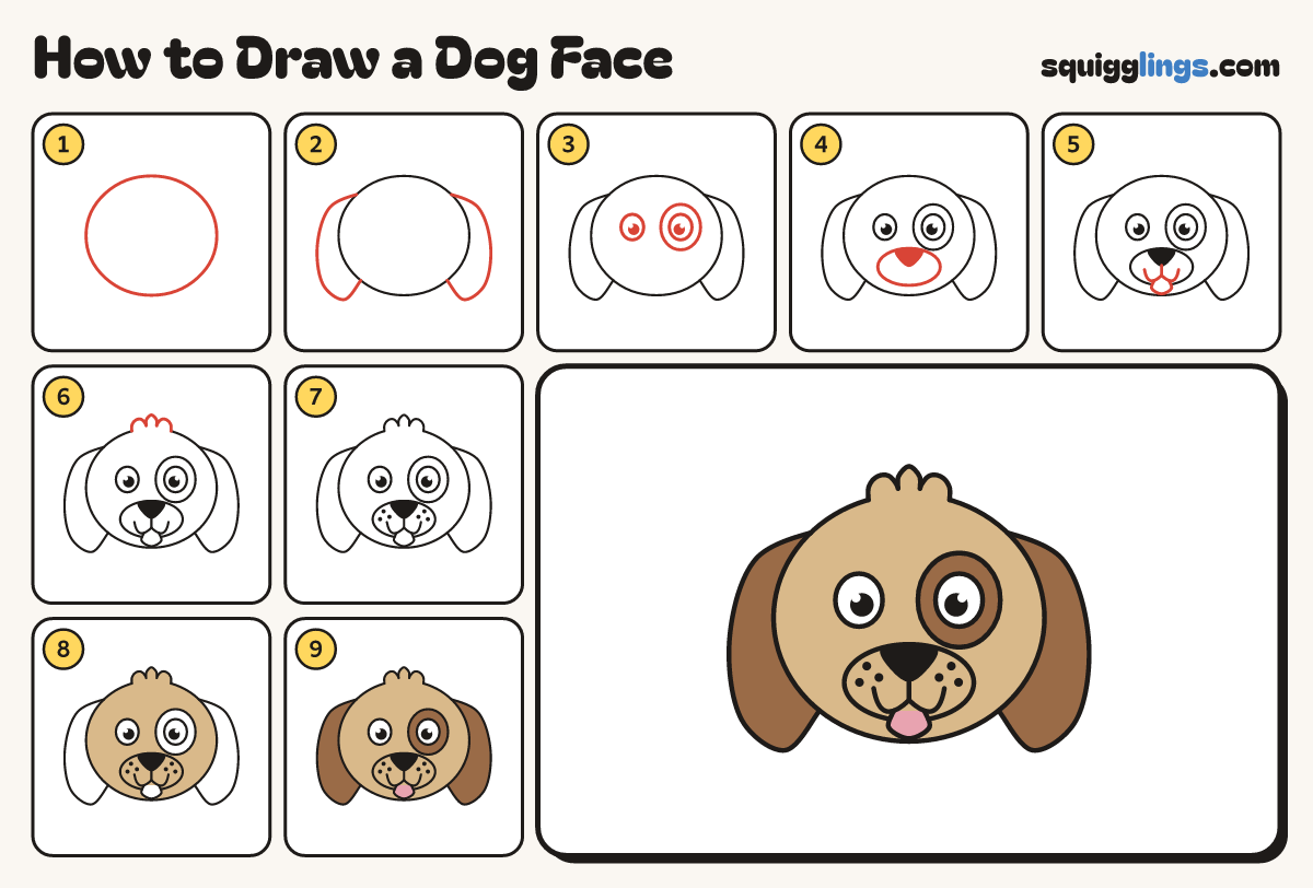 How to Draw a Dog Face step by step: all 9 steps in one picture