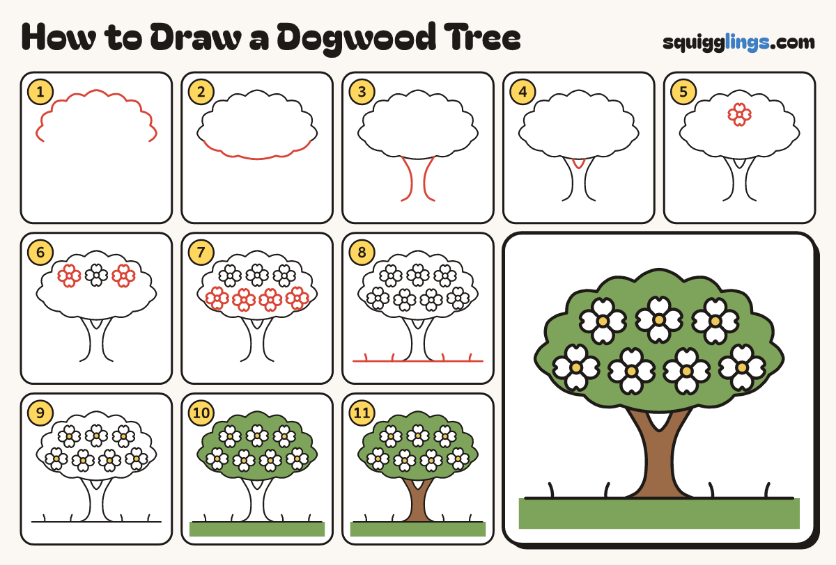 How to Draw a Dogwood Tree step by step: all 11 steps in one picture