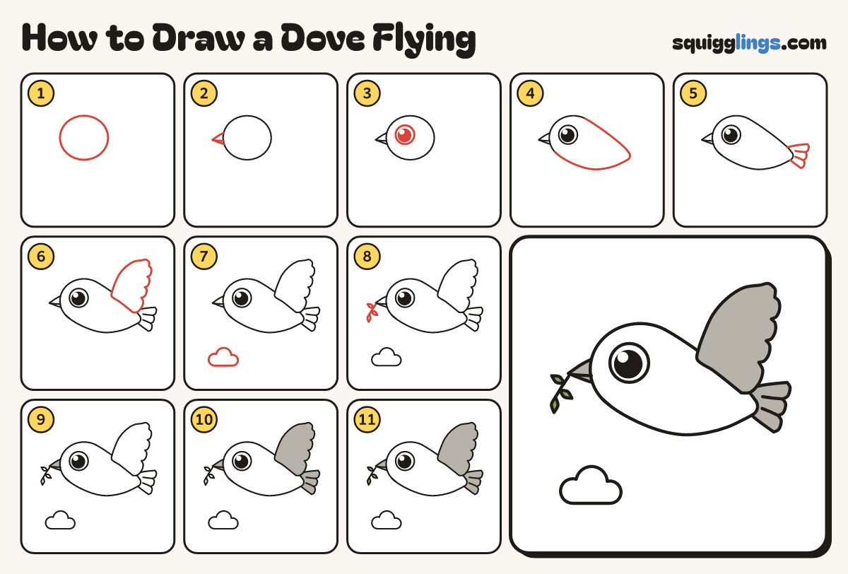 How to Draw a Dove Flying step by step: all 11 steps in one picture