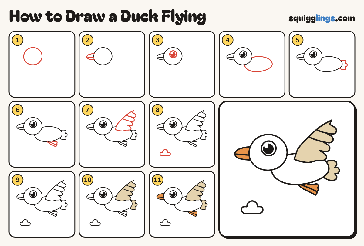 How to Draw a Duck Flying step by step: all 11 steps in one picture