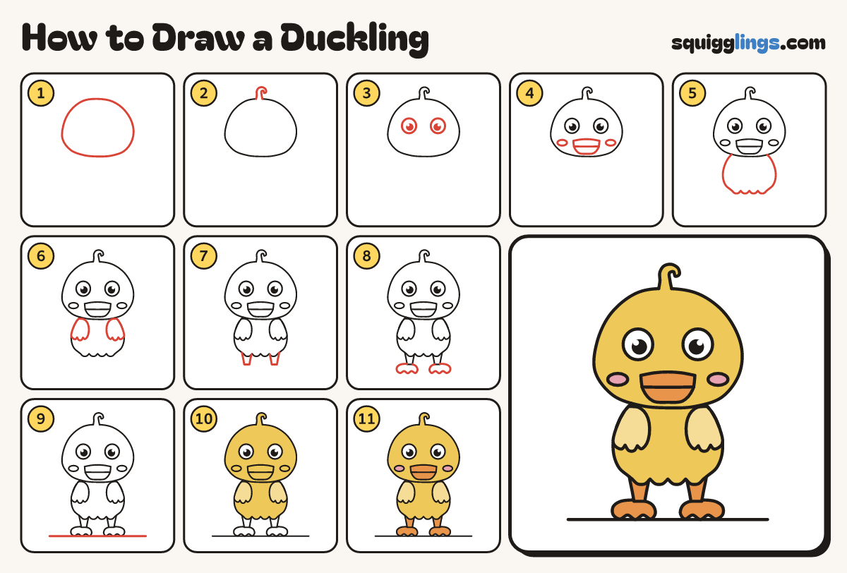 How to Draw a Duckling step by step: all 11 steps in one picture