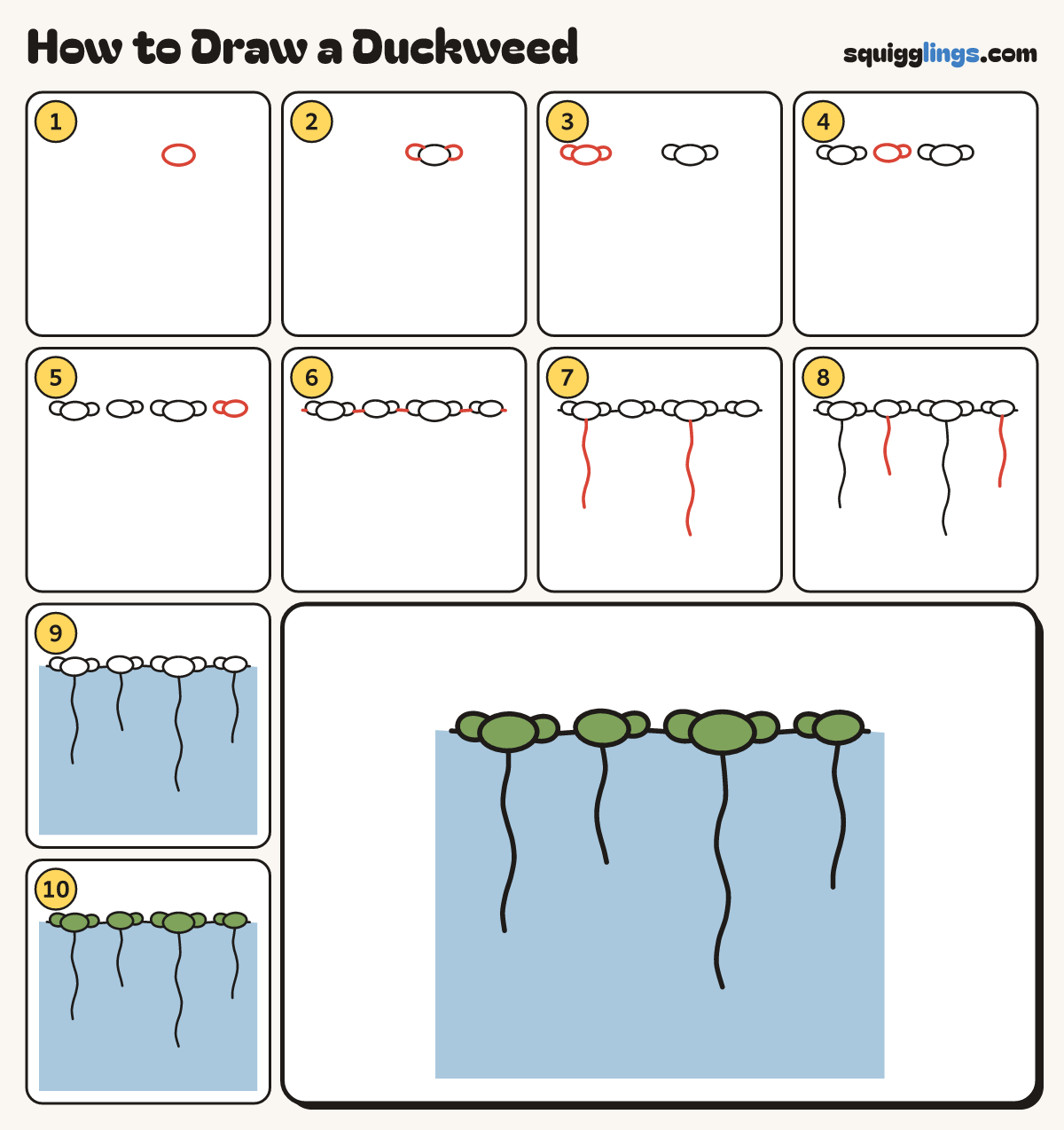 How to Draw a Duckweed step by step: all 10 steps in one picture