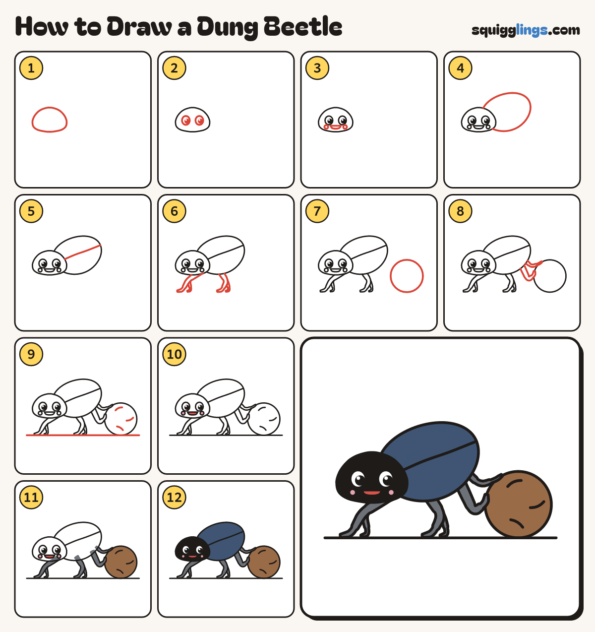 How to Draw a Dung Beetle step by step: all 12 steps in one picture