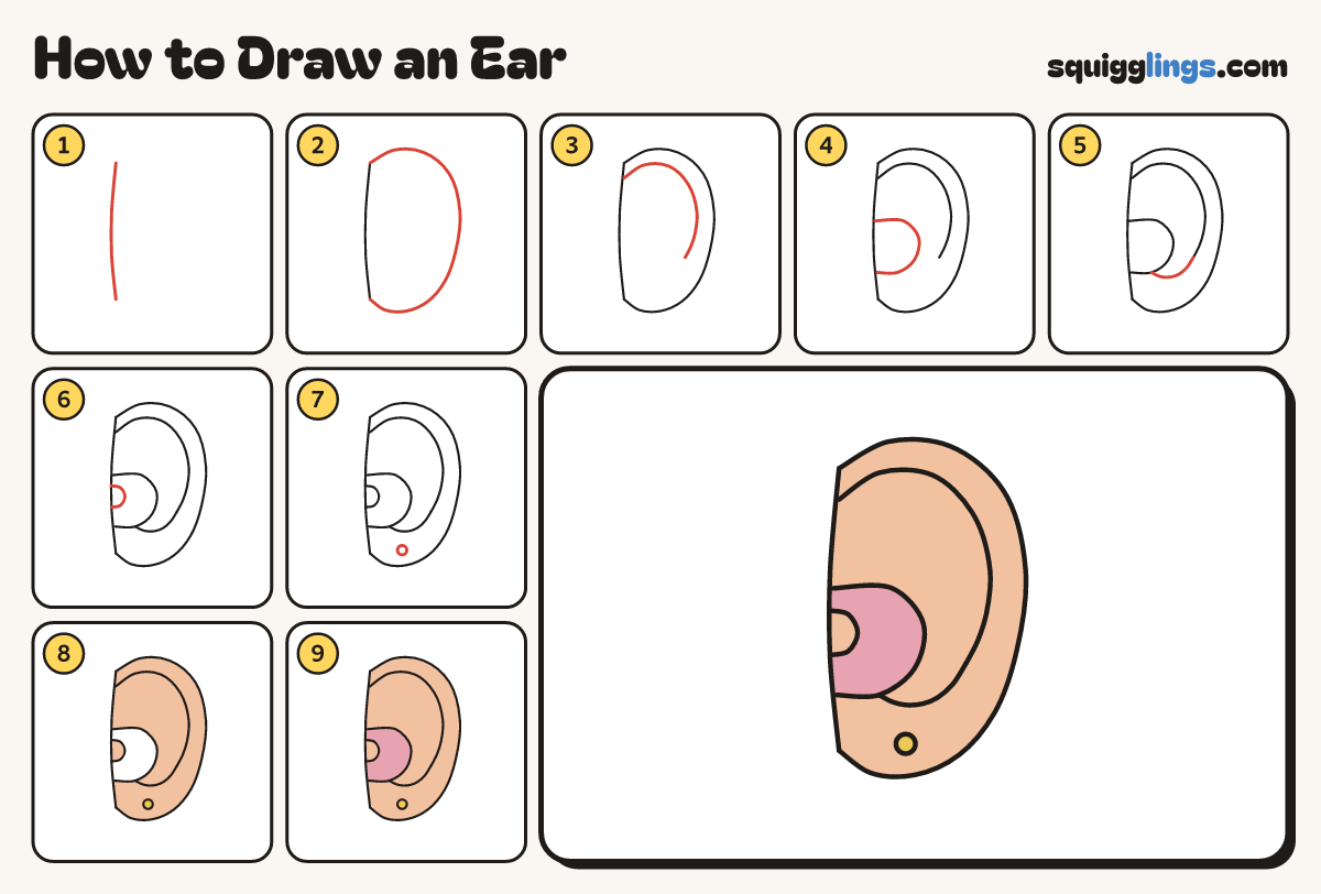 How to Draw an Ear step by step: all 9 steps in one picture