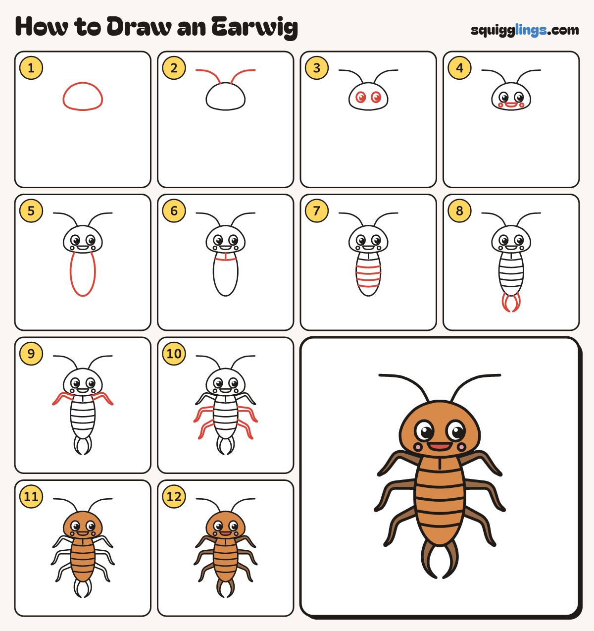 How to Draw an Earwig step by step: all 12 steps in one picture