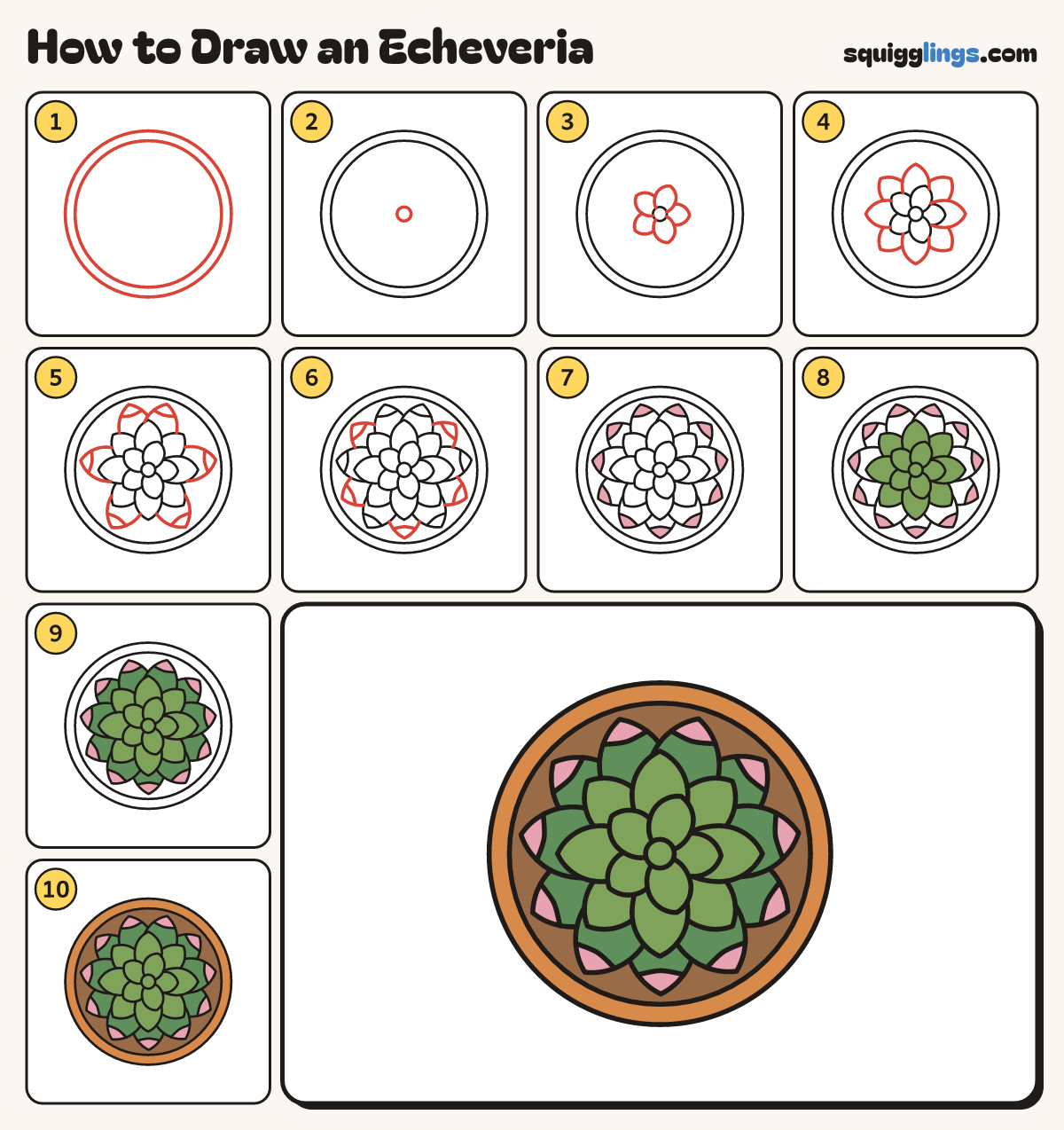 How to Draw an Echeveria step by step: all 10 steps in one picture